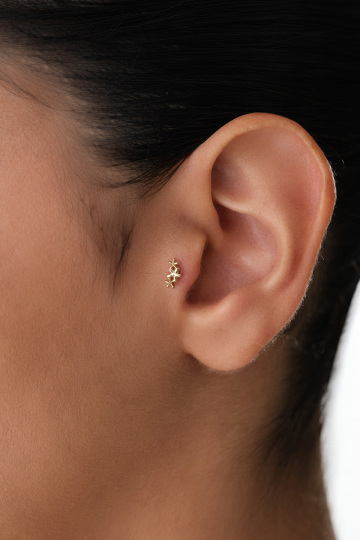 Bahar Çiçeği Tragus - 1