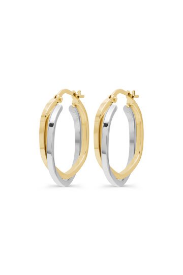 Çift Renk Beşgen Halka Küpe - 2