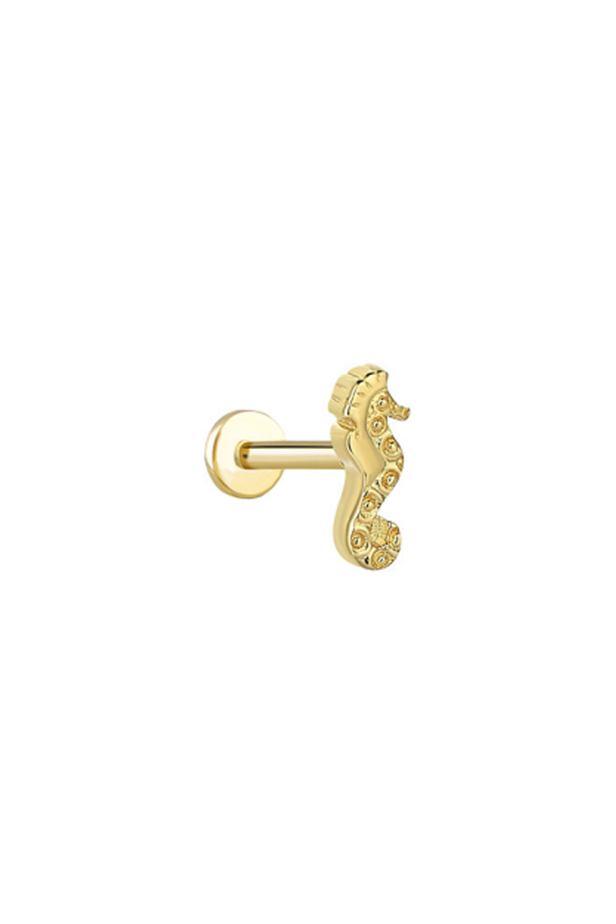Deniz Atı Tragus Piercing - Yavuz Kuyumculuk (1)