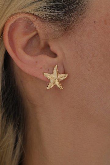 Deniz Yıldızı Top Küpe - 3