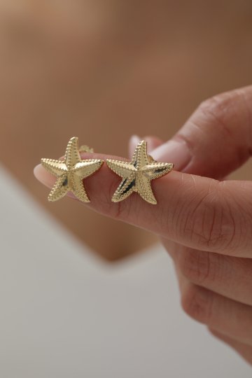 Deniz Yıldızı Top Küpe - 4