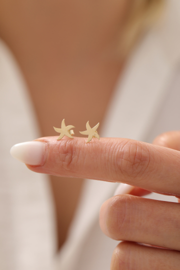 Deniz Yıldızı Top Küpe - 3