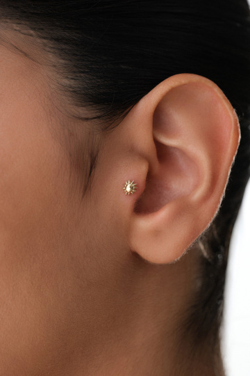Güneş Tragus - 1