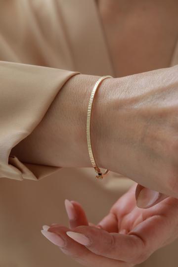 Kalemli Kelepçe - 1