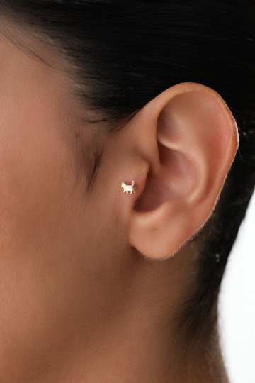 Kedi Tragus Piercing - 1