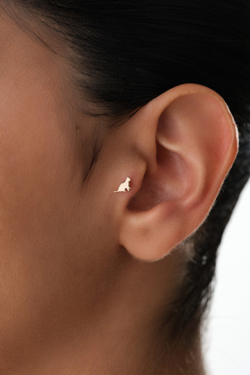 Kedi Tragus - 1