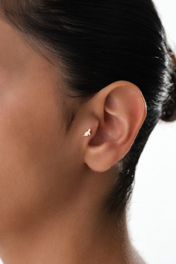 Kedi Tragus - 2