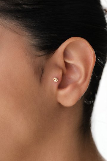 Pati Tragus Piercing - 1