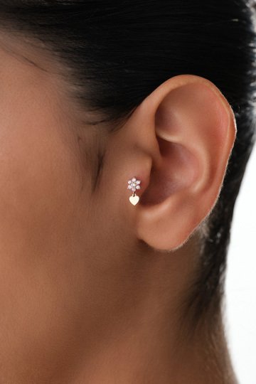 Sallantılı Çiçek Tragus - 1