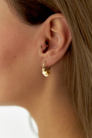 Sallantılı Plaka Küpe - 2