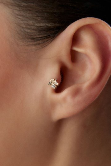 Taşlı Arı Piercing - 1