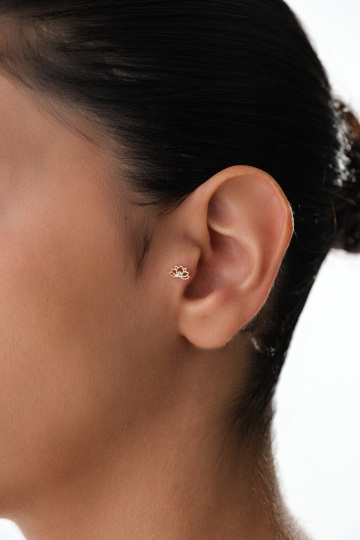 Taşlı Lotus Tragus - 2