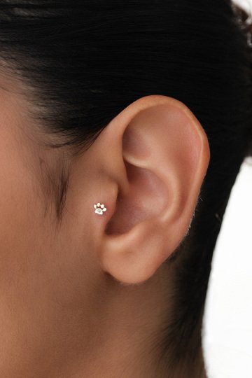 Taşlı Pati Tragus Piercing - 1