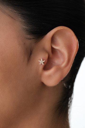 Taşlı Yıldız Tragus - 1