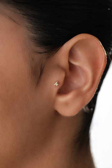 Tohum Tragus - 1