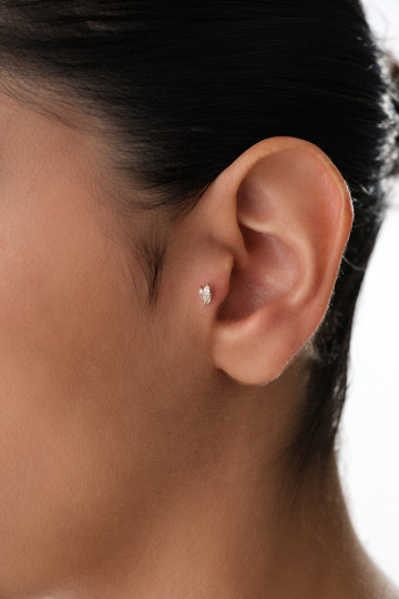 Üçlü Markiz Tragus - 1
